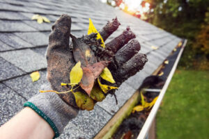 A gloved hand removing leaves and debris from a gutter on a roof.