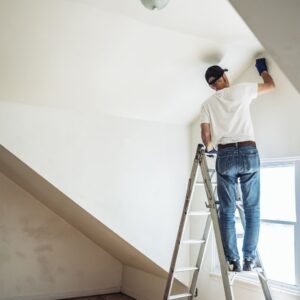 painting services
