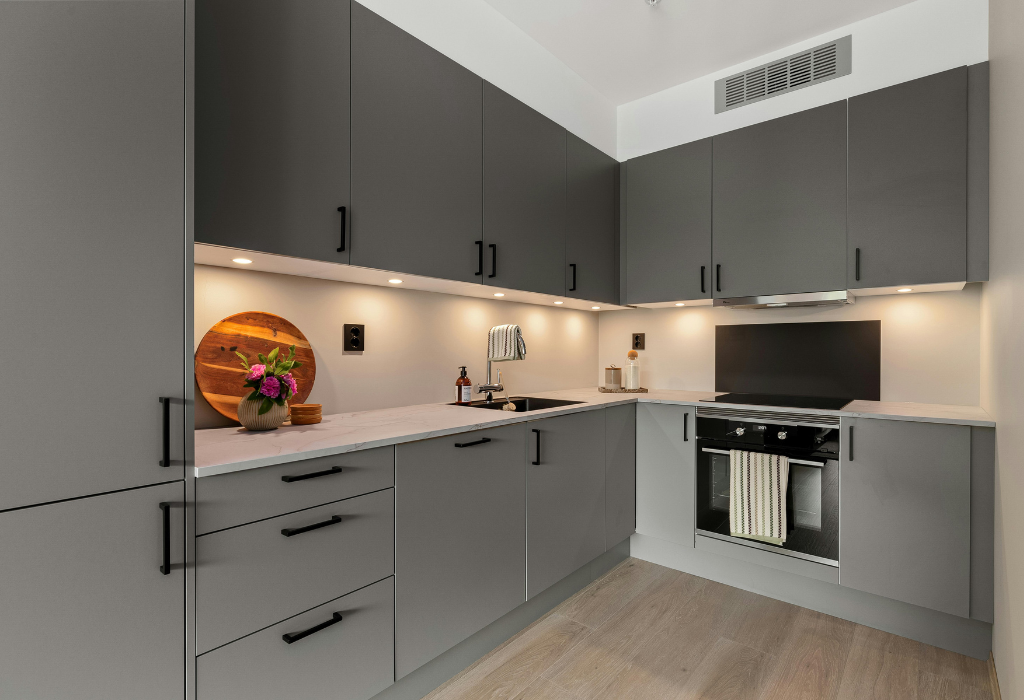 Cabinet Painting​