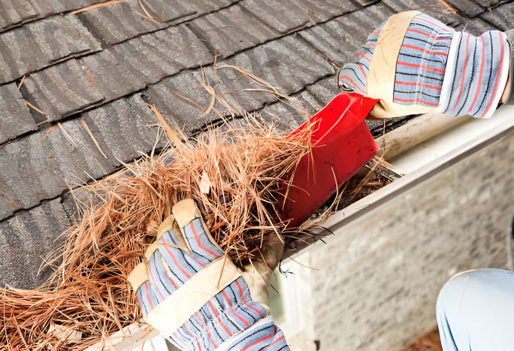 complete gutter debris